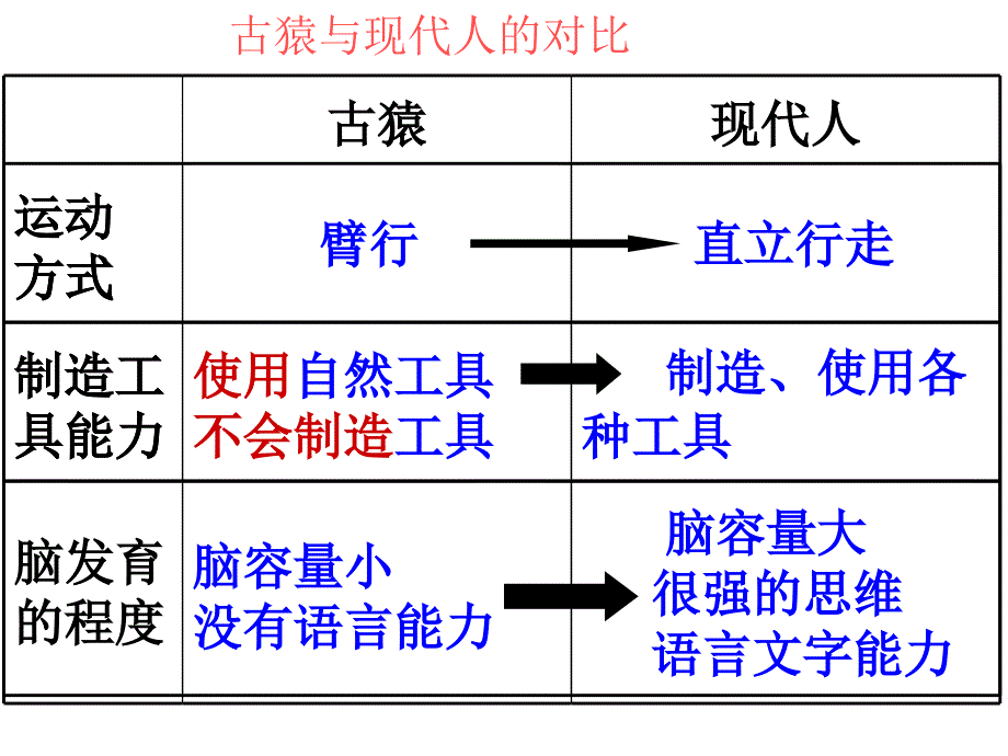 期末复习课件第四单元第一章人的由来_第3页