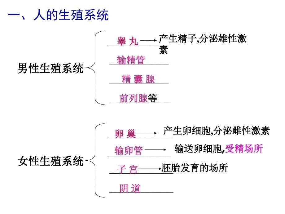 期末复习课件第四单元第一章人的由来_第5页