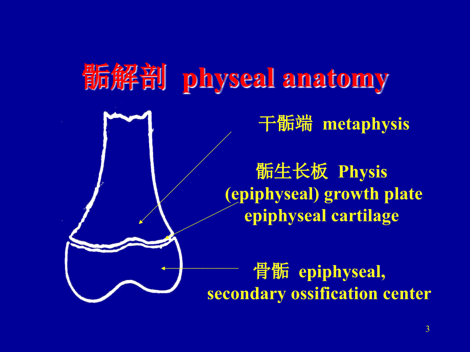 （优质课件）小儿骨骺损伤_第3页