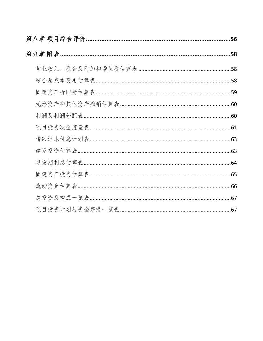 浙江测试仪器仪表项目可行性研究报告_第5页