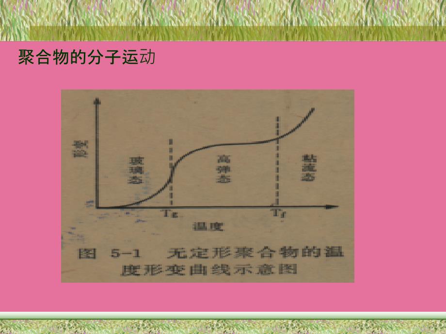 聚合物的玻璃化转变ppt课件_第4页