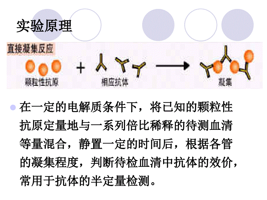 直接凝集实验 接溶血素制备1_第2页