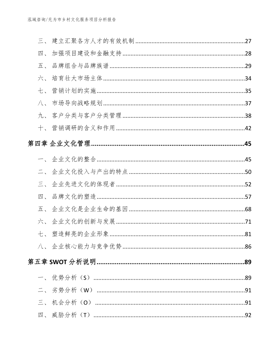 无为市乡村文化服务项目分析报告_第2页