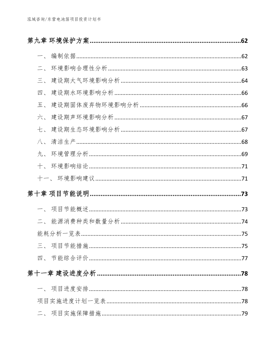 东营电池箔项目投资计划书_模板范本_第3页