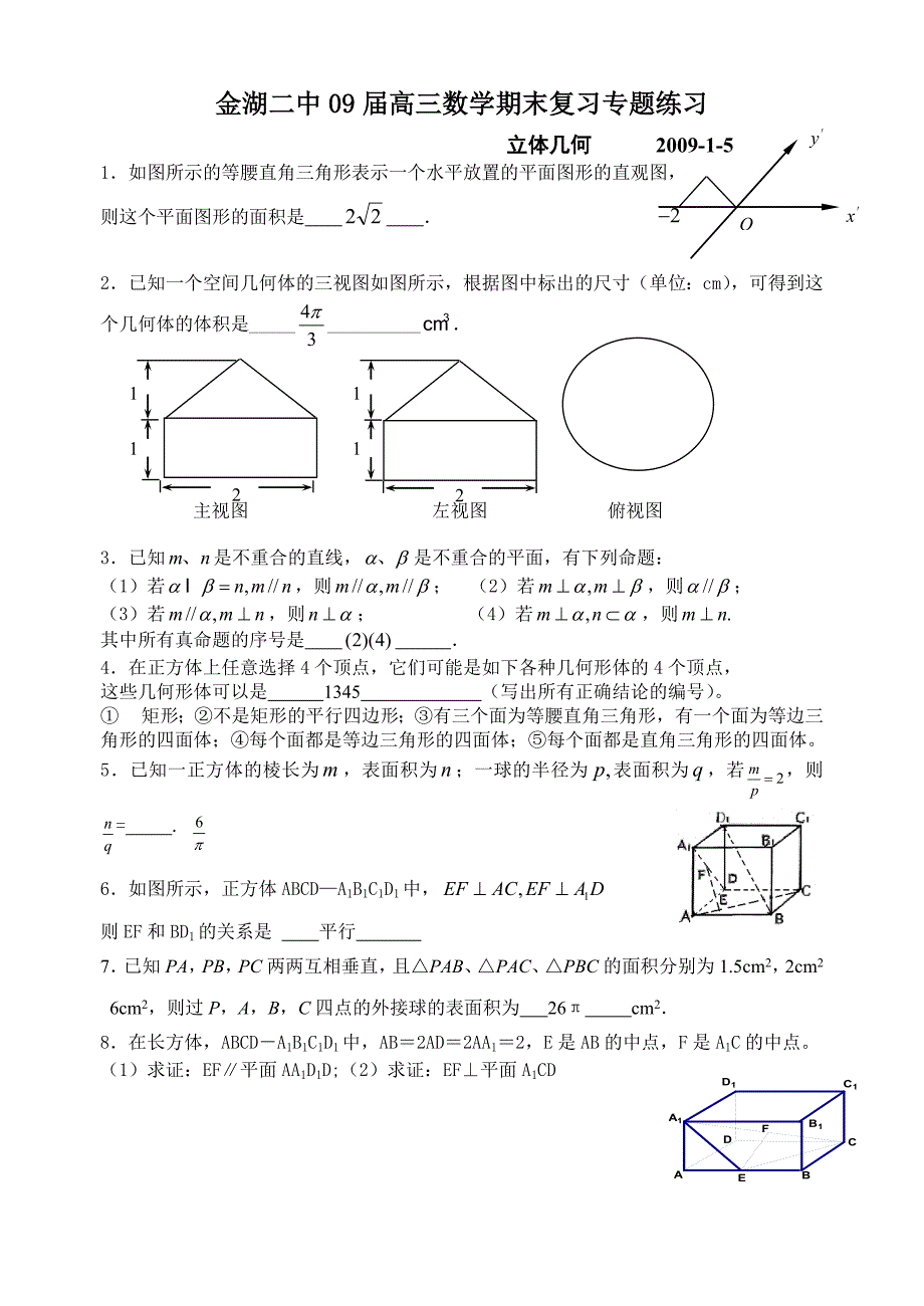 2教师用金湖二中09届高三数学期末复习专题练（立体几何）.doc_第1页