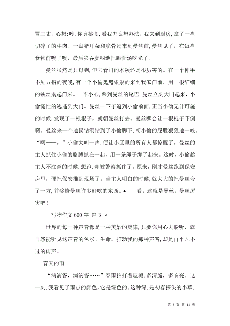 写物作文600字锦集九篇_第3页