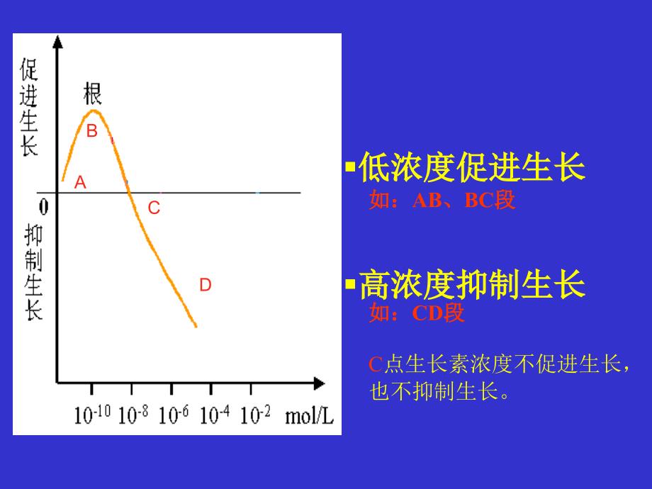 生长素的生理作用_第3页