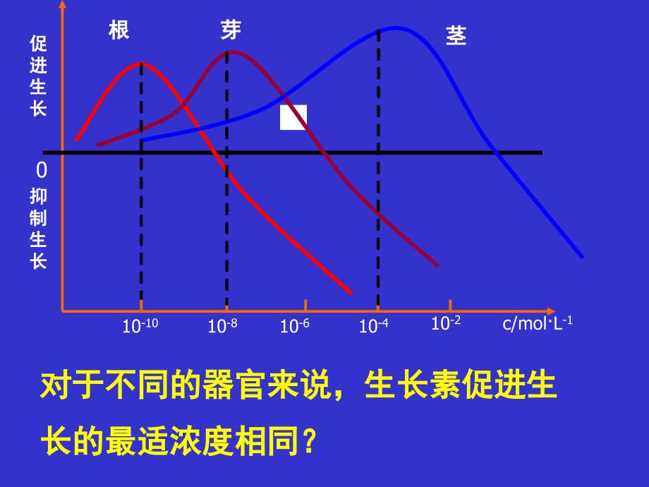 生长素的生理作用_第4页