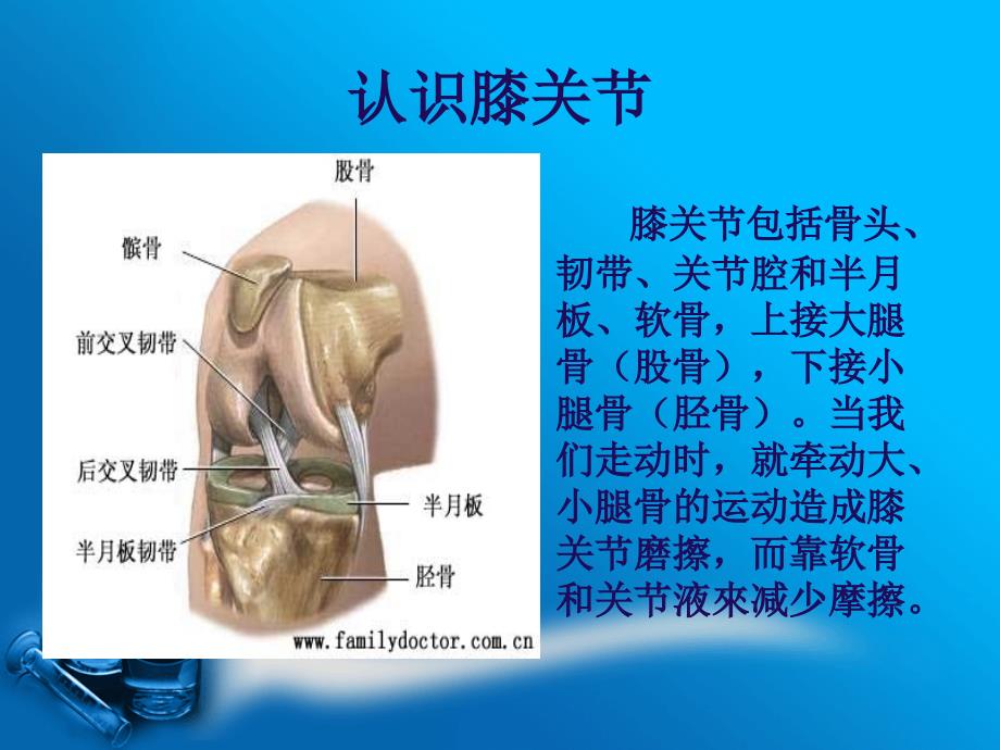 人工全膝关节置换术ppt课件_第2页