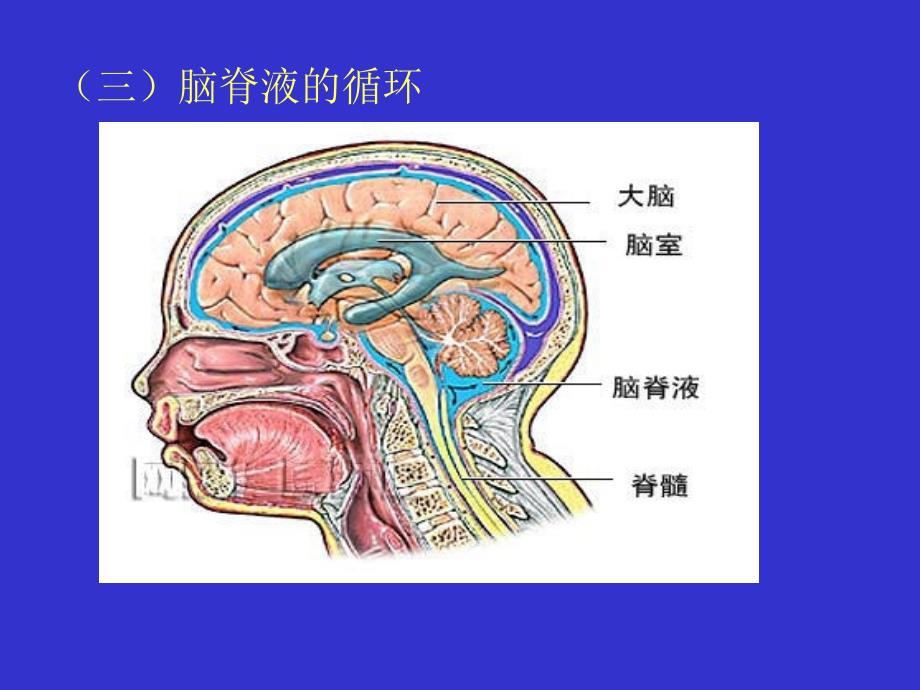 脑脊液漏的护理及健康教育ppt课件_第3页