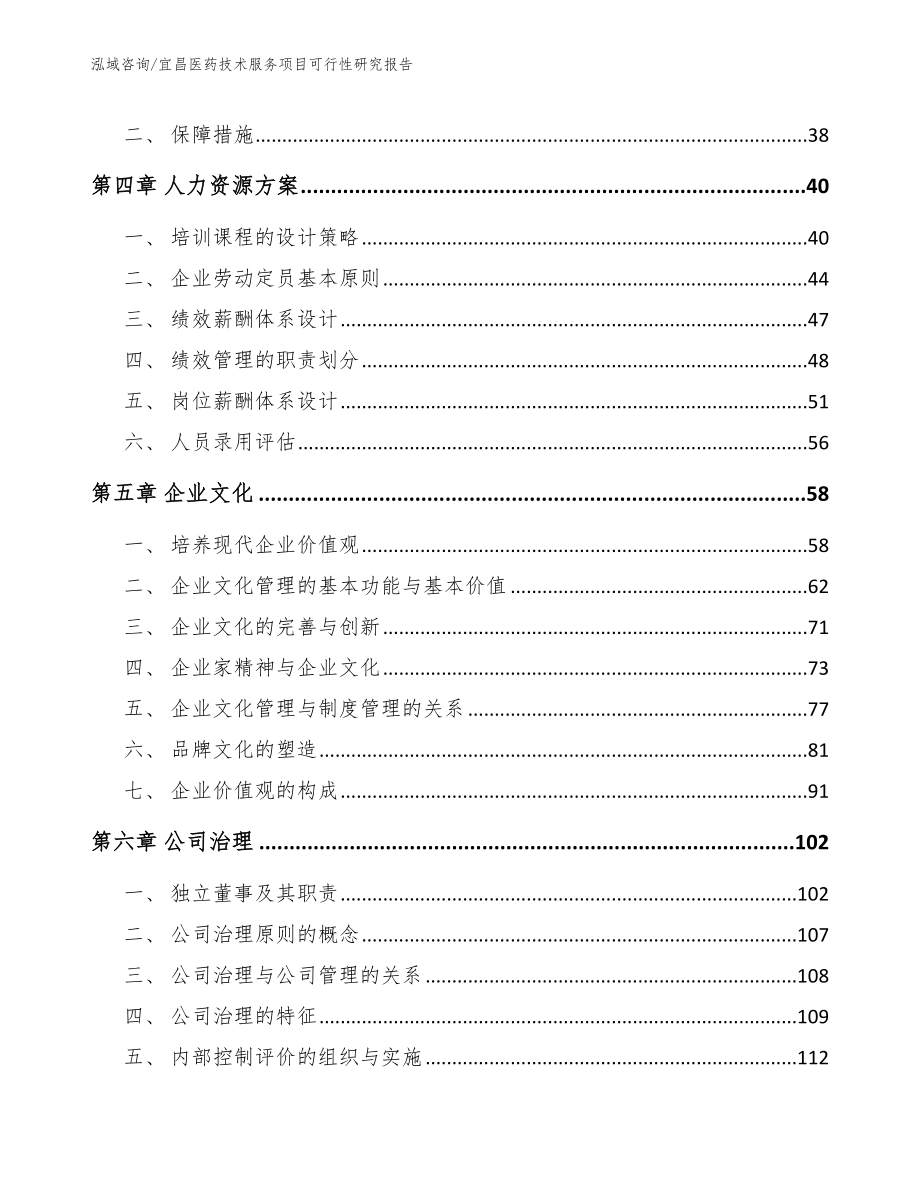 宜昌医药技术服务项目可行性研究报告_模板_第2页