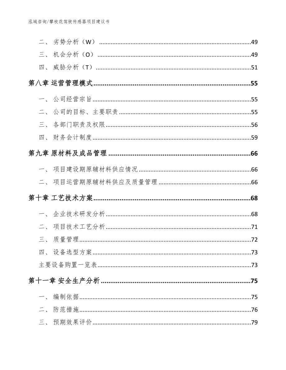 攀枝花驾驶传感器项目建议书范文模板_第5页