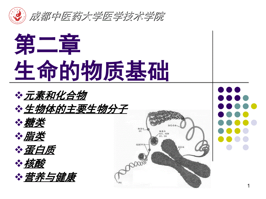 生命的物质基础2营养与健康.ppt_第1页