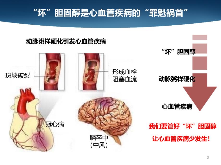 如何降低坏胆固醇_第3页