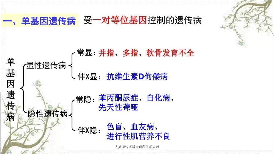 人类遗传病适合理科生新人教_第5页