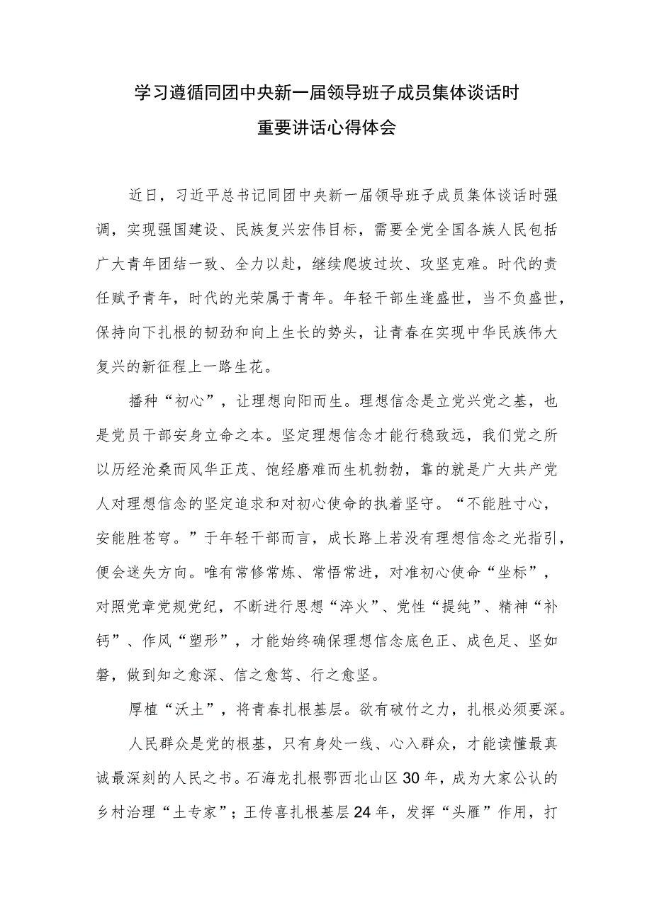 2.学习贯彻同团中央新一届领导班子成员集体谈话重要讲话心得体会3篇_第1页