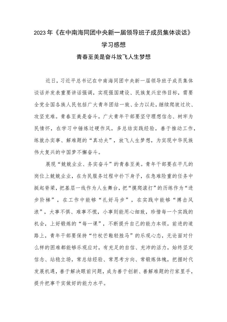 2.学习贯彻同团中央新一届领导班子成员集体谈话重要讲话心得体会3篇_第5页