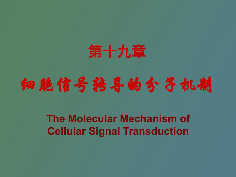 细胞信号转导的分子机制_第2页