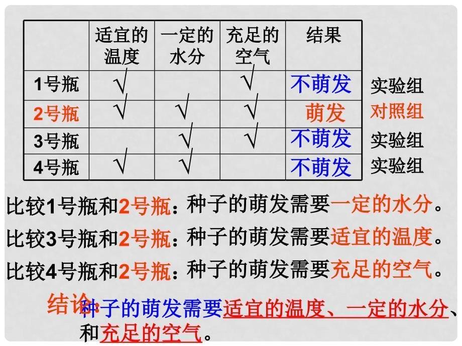 六年级生物下册 3.2.1《种子的萌发》课件1 鲁科版五四制_第5页