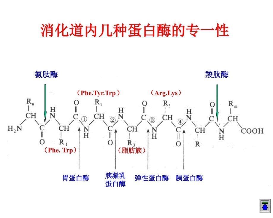 计算机等级考试三级网络技术模拟题_第5页