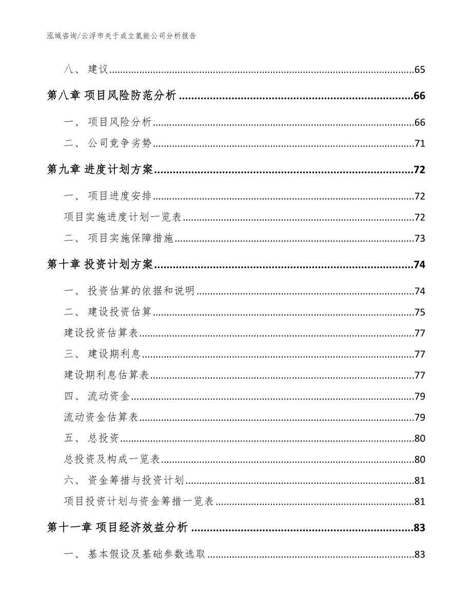 云浮市关于成立氢能公司分析报告（模板）_第4页