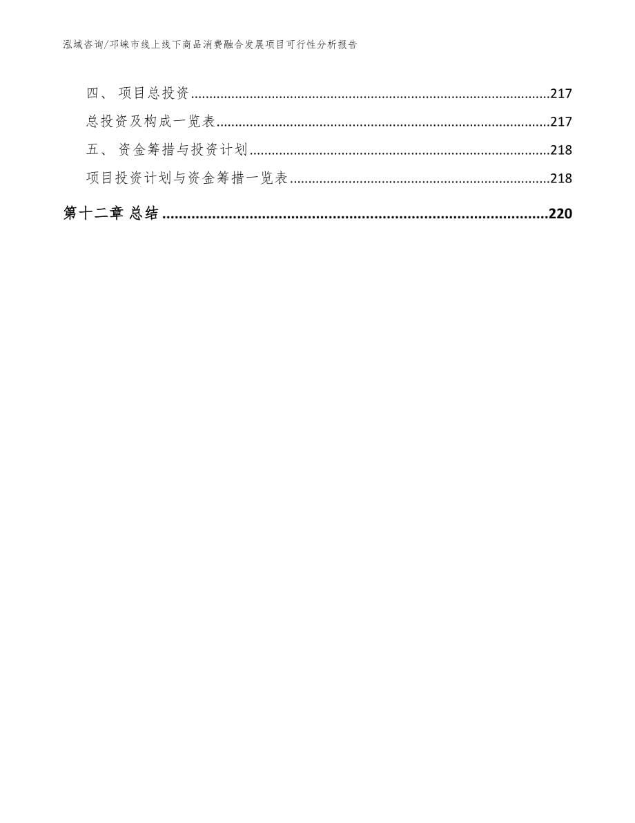 邛崃市线上线下商品消费融合发展项目可行性分析报告_模板范文_第5页