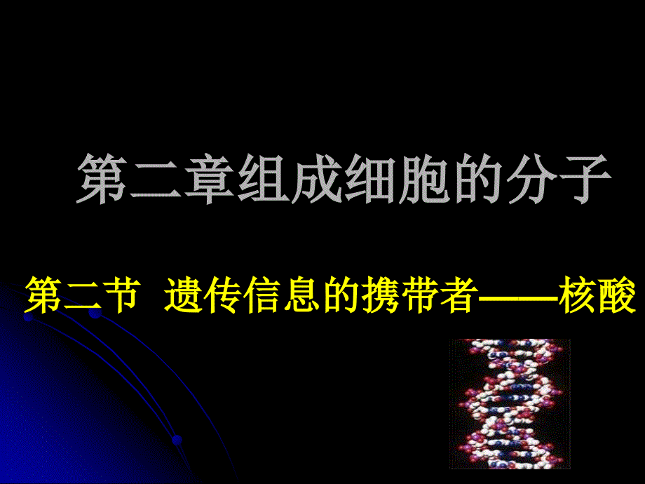 遗传信息的携带者----核酸_第1页