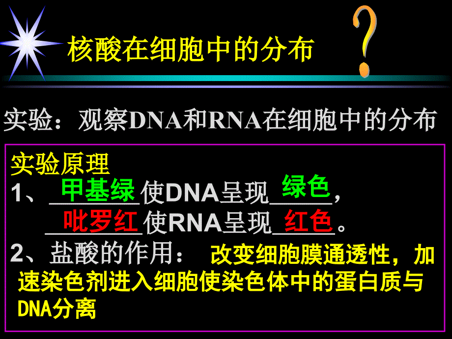 遗传信息的携带者----核酸_第4页