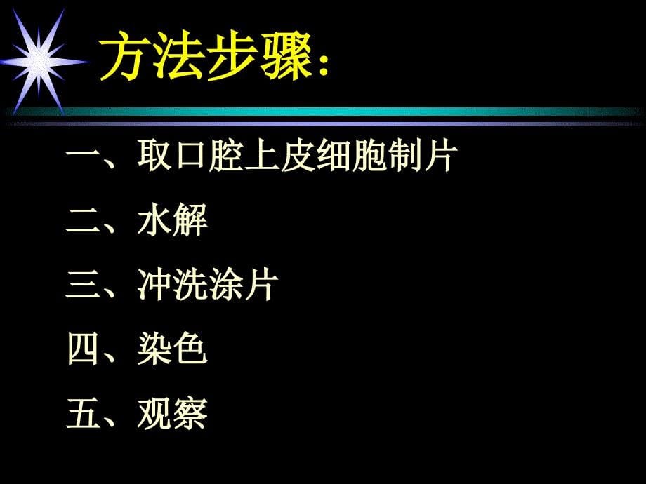 遗传信息的携带者----核酸_第5页