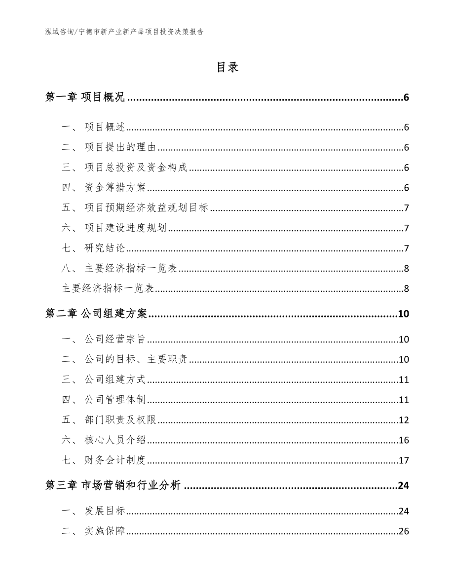 宁德市新产业新产品项目投资决策报告范文模板_第1页