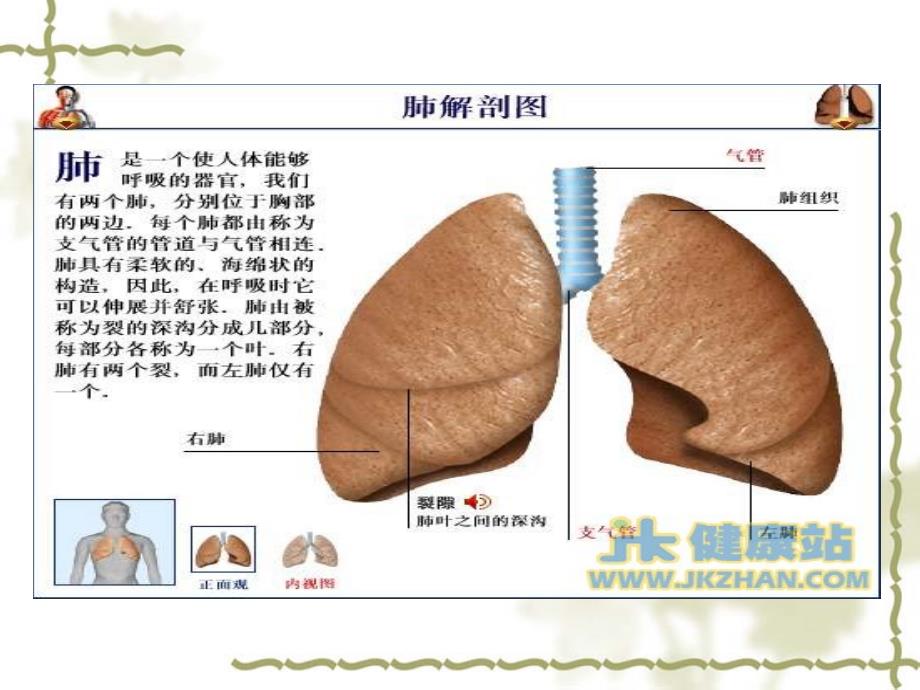 《护理查房-全肺切除术》_第4页