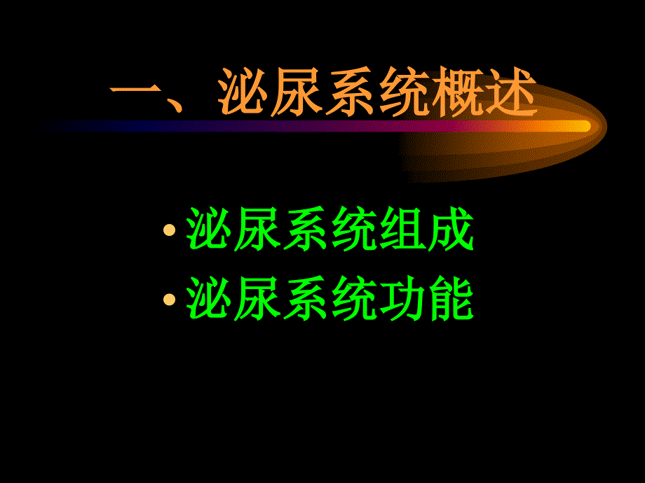 正常人体学基础第九章泌尿系统ppt课件_第2页