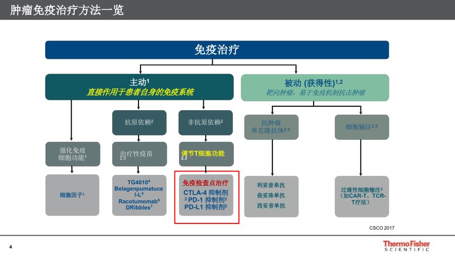 整体方案带您玩转肿瘤免疫治疗研究.compressedPPT参考幻灯片_第4页