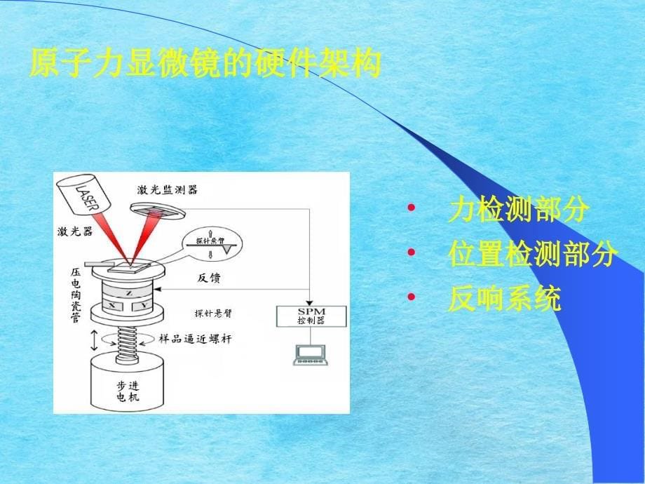 原子力显微镜在聚合物膜研究方面的应用学生李红剑导师曹义鸣ppt课件_第5页