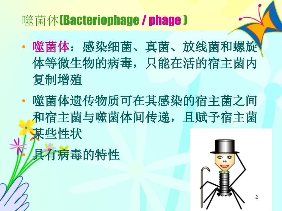 第四章噬菌体PPT_第2页