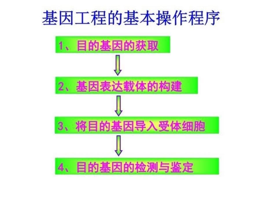 最新原核细胞的基因结构补充内容ppt课件_第5页