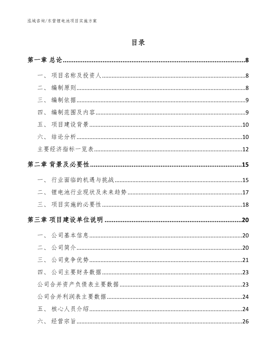 东营锂电池项目实施方案模板参考_第1页