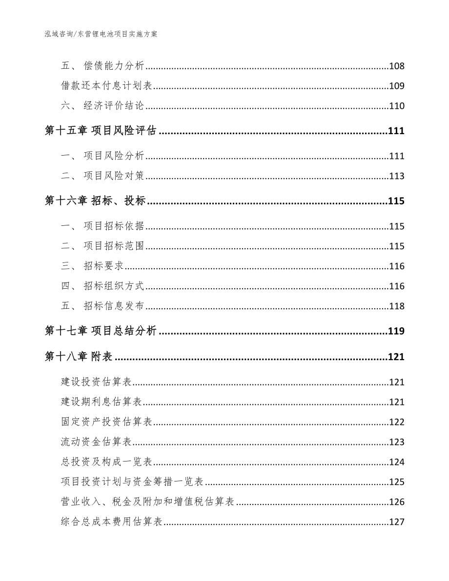 东营锂电池项目实施方案模板参考_第5页