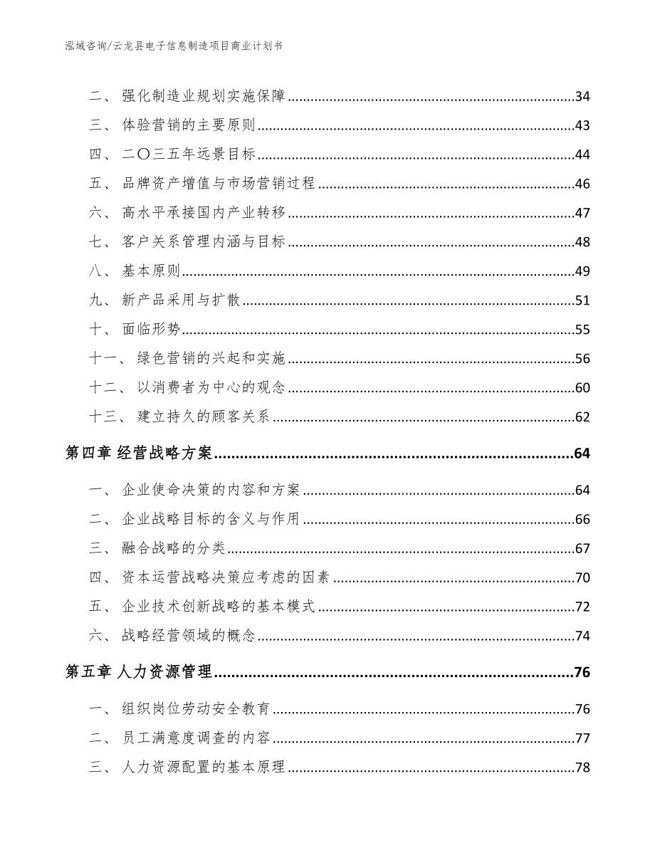 云龙县电子信息制造项目商业计划书_第2页