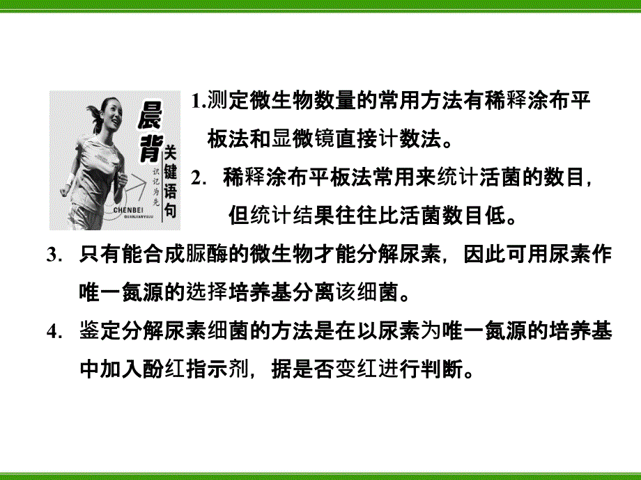 土壤中分解尿素的细菌的分离与计数课件_第2页