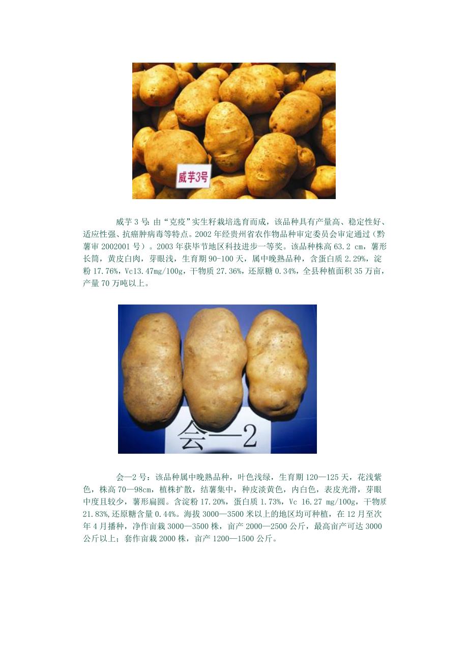 贵州主栽马铃薯品种.doc_第2页