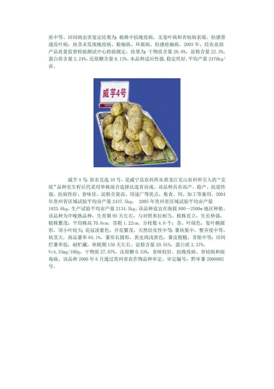 贵州主栽马铃薯品种.doc_第5页