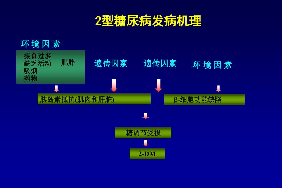 最新：2型糖尿病的治疗文档资料文档资料_第2页