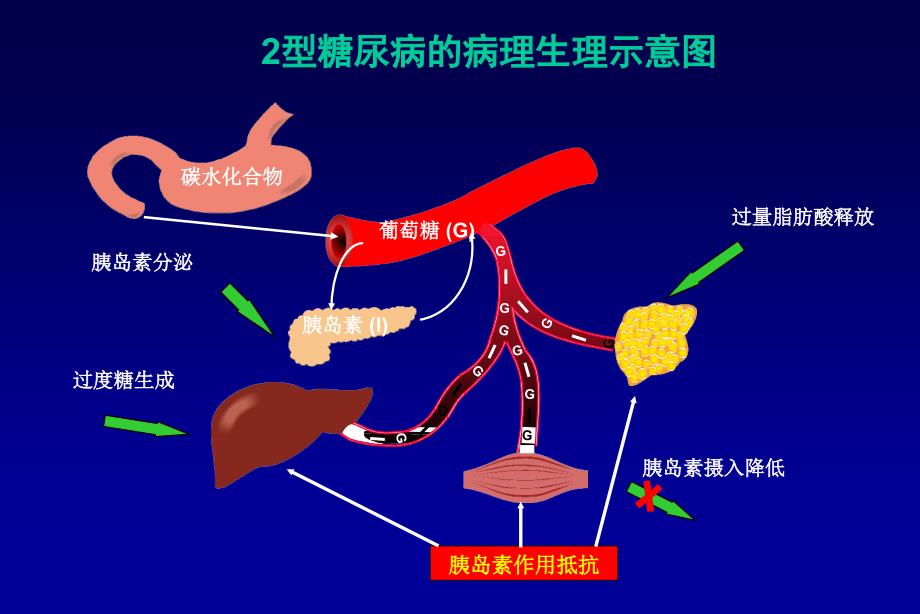 最新：2型糖尿病的治疗文档资料文档资料_第3页