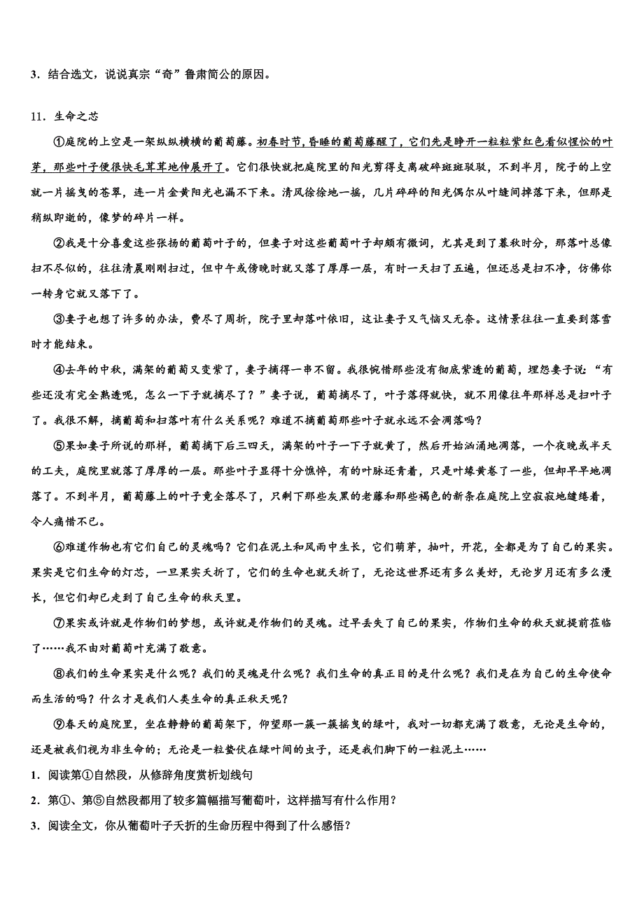 湖南省长沙市湖南师大附中博才实验中学2023学年中考联考语文试题(含答案解析）.doc_第4页