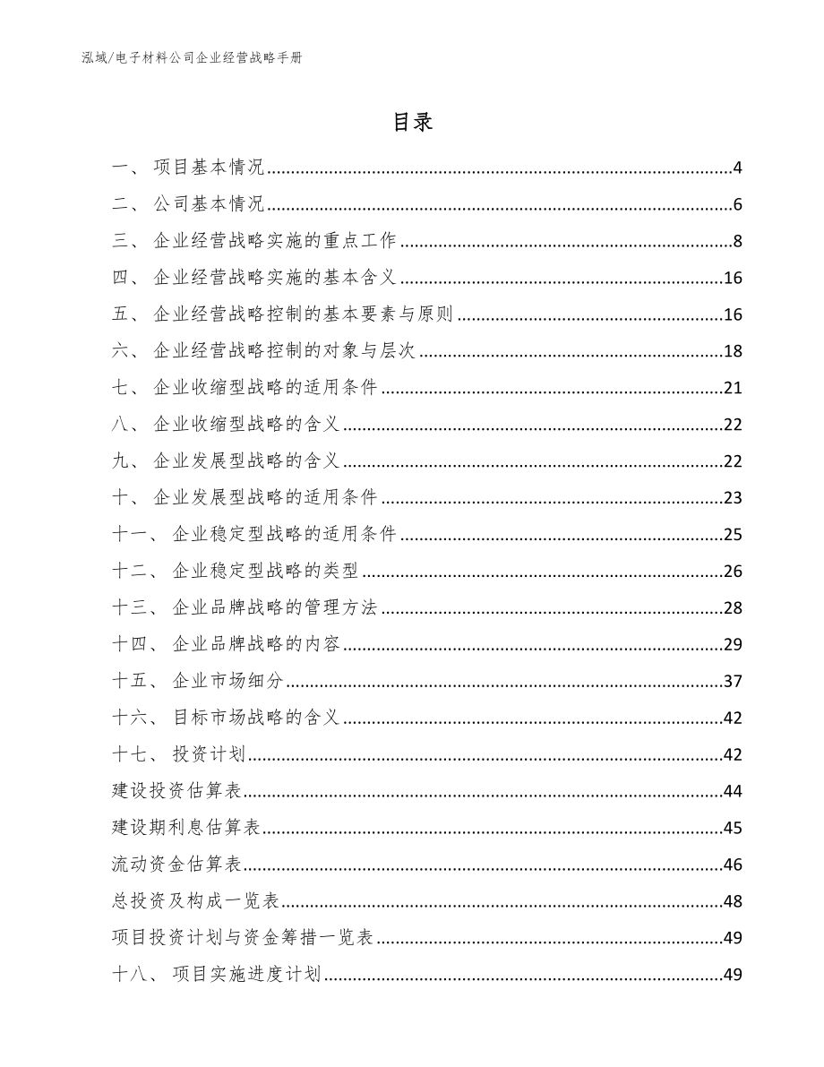 电子材料公司企业经营战略手册_第2页