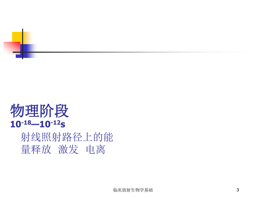 临床放射生物学基础培训课件_第3页