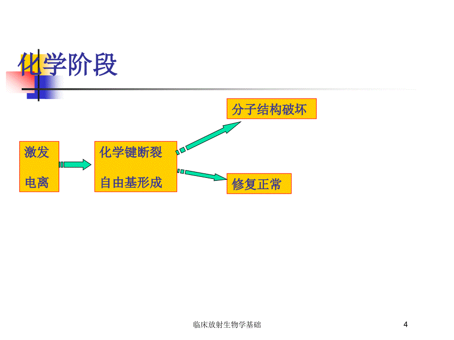 临床放射生物学基础培训课件_第4页