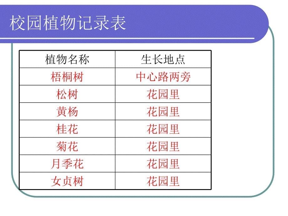 校园生物大搜索_第5页