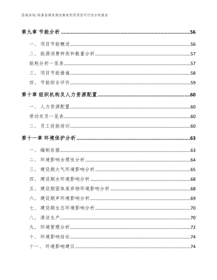 闻喜县煤炭清洁高效利用项目可行性分析报告_模板_第5页